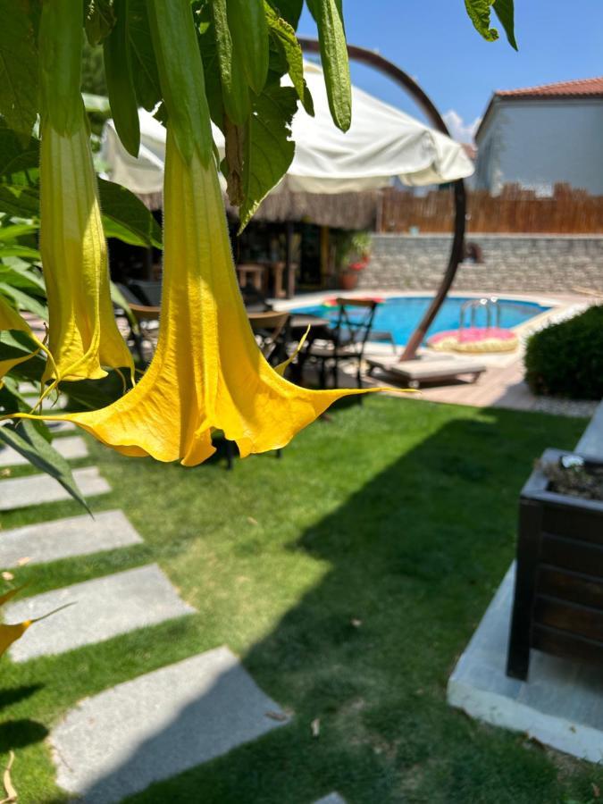 Pupa Alacati Butik Otel Çeşme Eksteriør billede