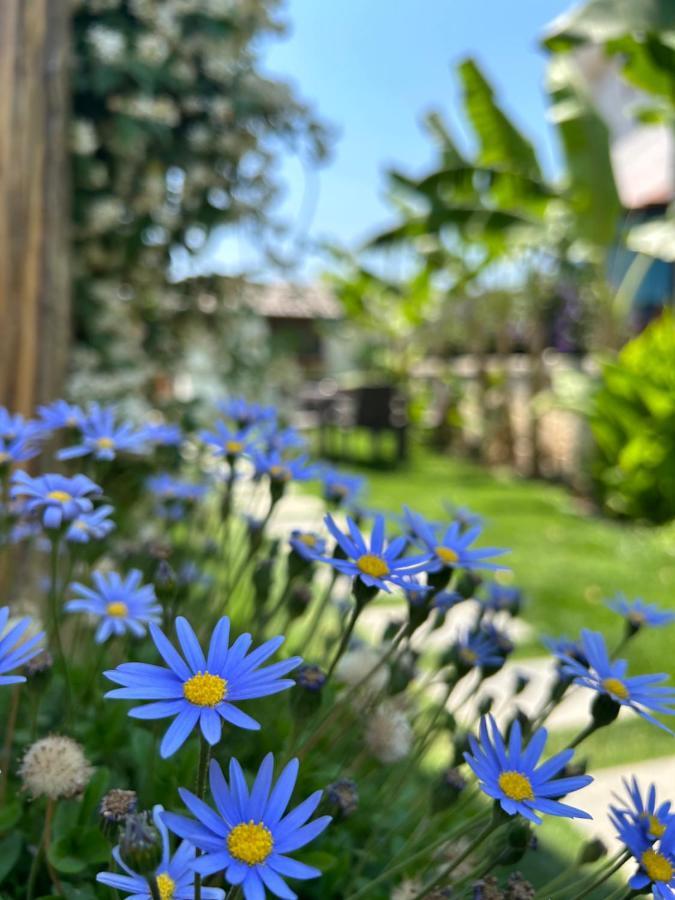 Pupa Alacati Butik Otel Çeşme Eksteriør billede